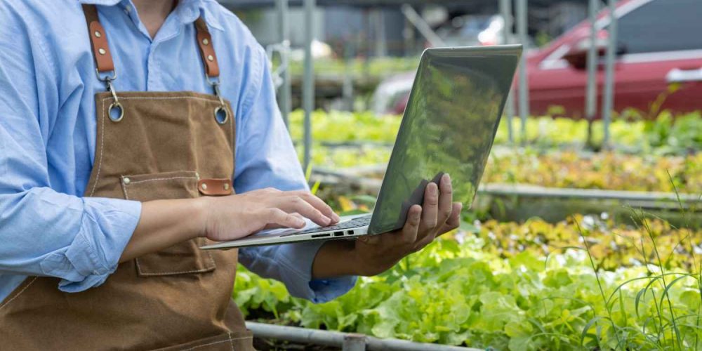 young-agriculturists-are-selecting-vegetables-to-c-2025-03-09-02-21-58-utc (1)